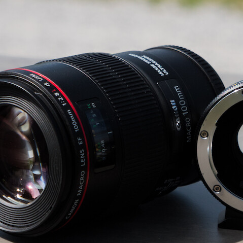 NEW LENSES for my Panasonic GH5 ⎜ Canon 100mm f/2.8L Macro ⎜ Tokina AT-X 10-17mm f/3.5-4.5 Fisheye